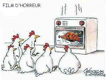 Voila un film d'horreur pour poulets !!