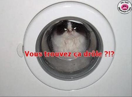 moi ,oui